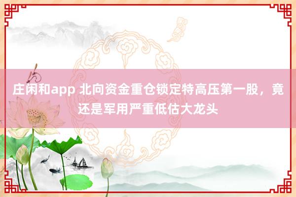 庄闲和app 北向资金重仓锁定特高压第一股,竟还是军用严重低估大龙头