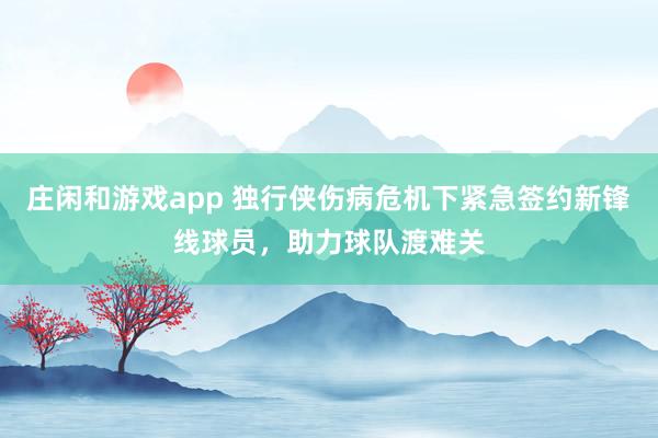 庄闲和游戏app 独行侠伤病危机下紧急签约新锋线球员，助力球队渡难关